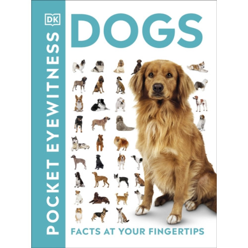 Dorling Kindersley Ltd Pocket Eyewitness Dogs (häftad, eng)