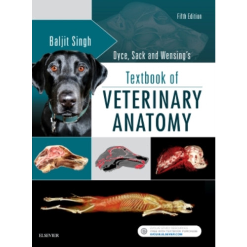 Elsevier - Health Sciences Division Dyce, Sack, and Wensing's Textbook of Veterinary Anatomy (inbunden, eng)