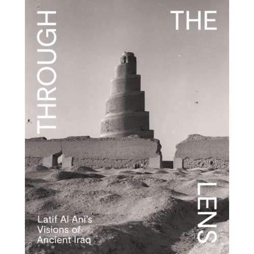 Princeton University Press Through the Lens (häftad, eng)