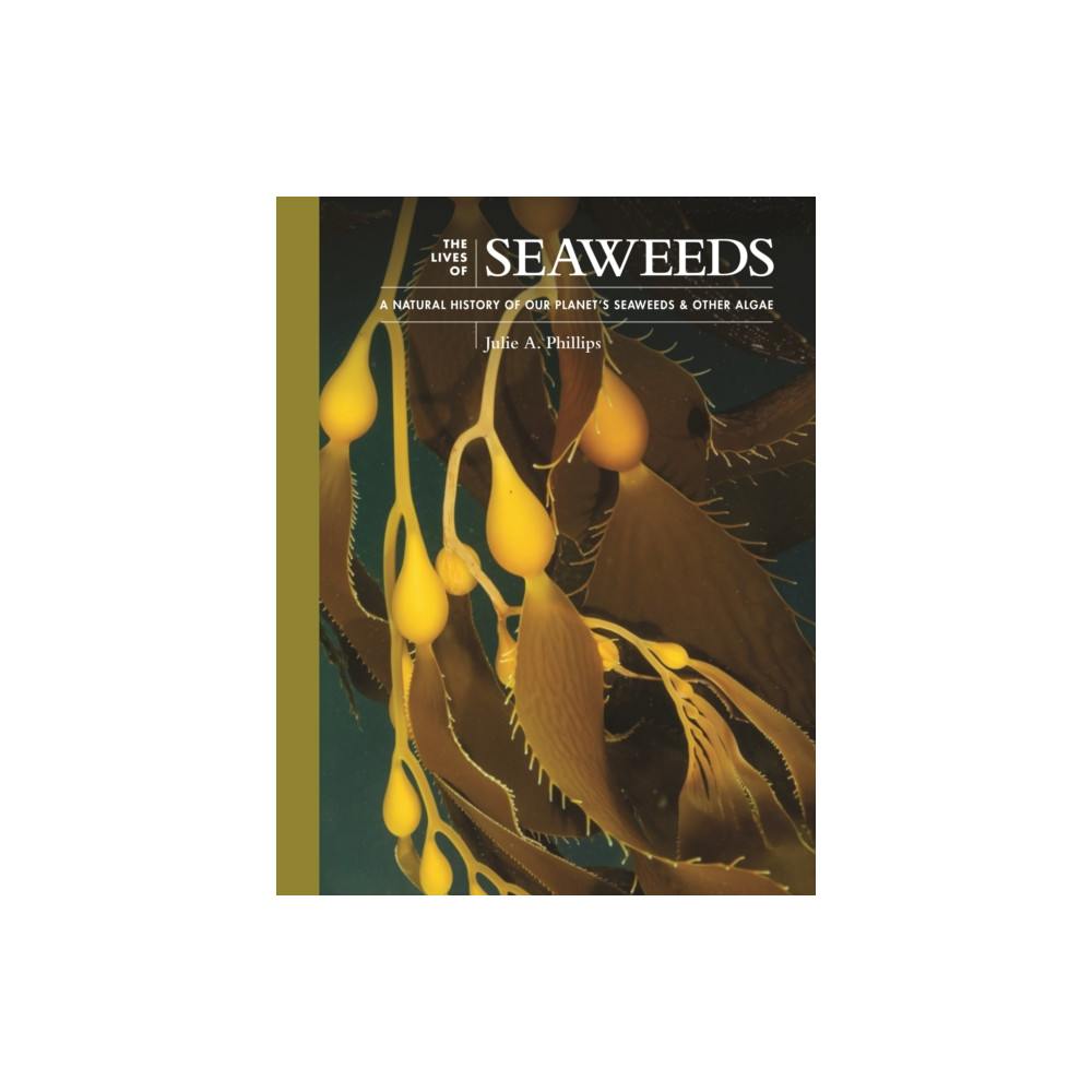 Produktbild för The Lives of Seaweeds (inbunden, eng)