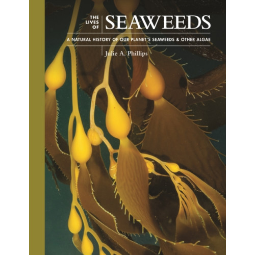 Princeton University Press The Lives of Seaweeds (inbunden, eng)