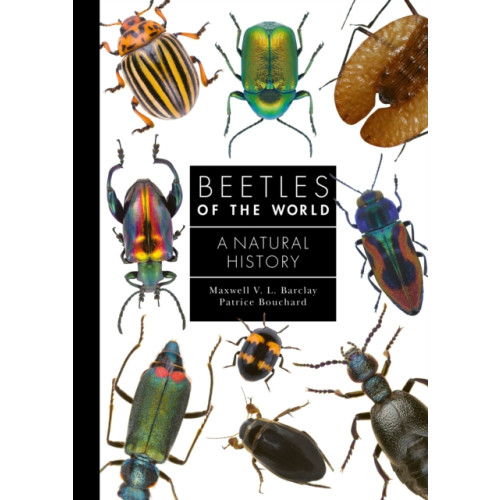 Princeton University Press Beetles of the World (inbunden, eng)