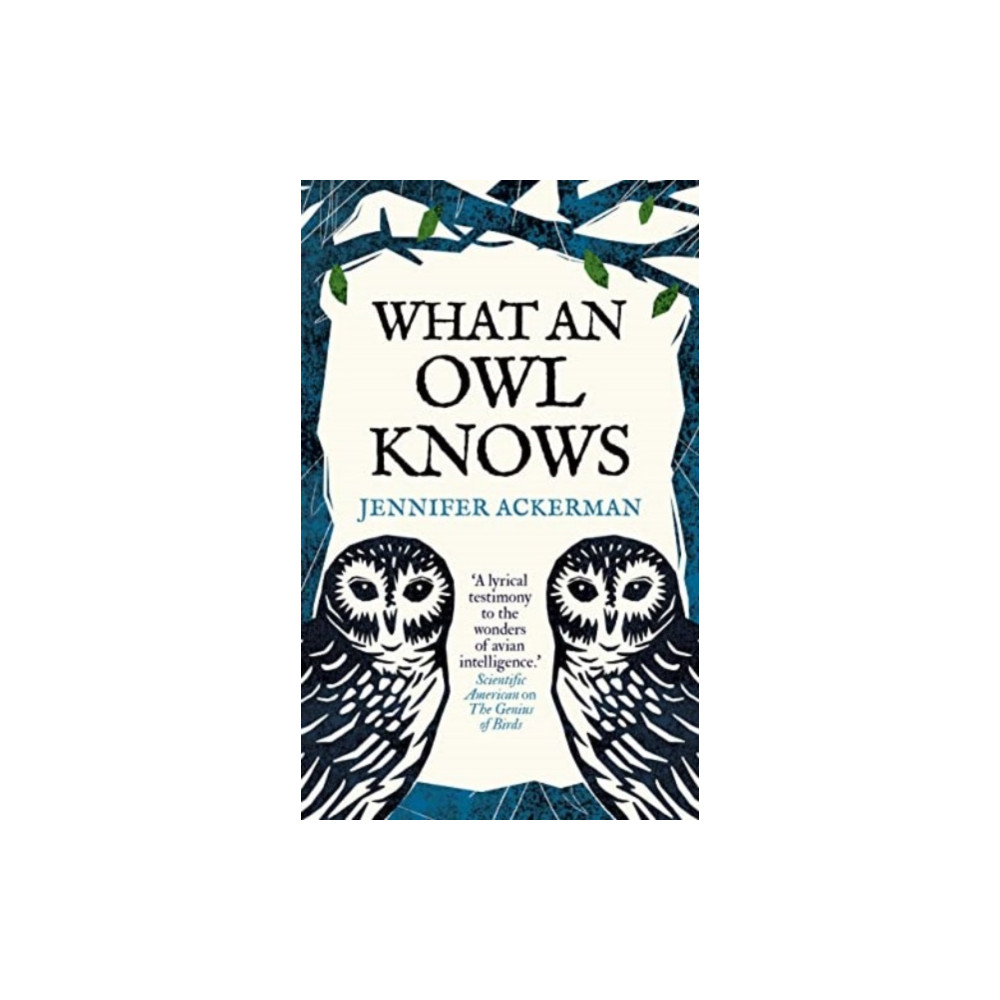 Produktbild för What an Owl Knows (häftad, eng)