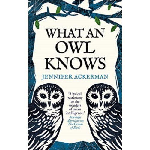 Oneworld Publications What an Owl Knows (häftad, eng)