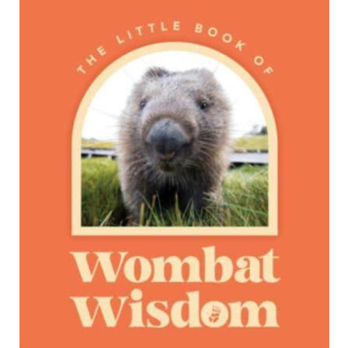 HarperCollins Publishers (Australia) Pty Ltd Little Book Of Wombat Wisdom (inbunden, eng)