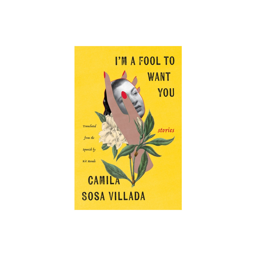 Produktbild för I'm a Fool to Want You (häftad, eng)