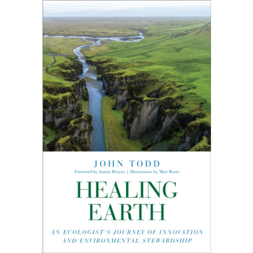 North Atlantic Books,U.S. Healing Earth (häftad, eng)