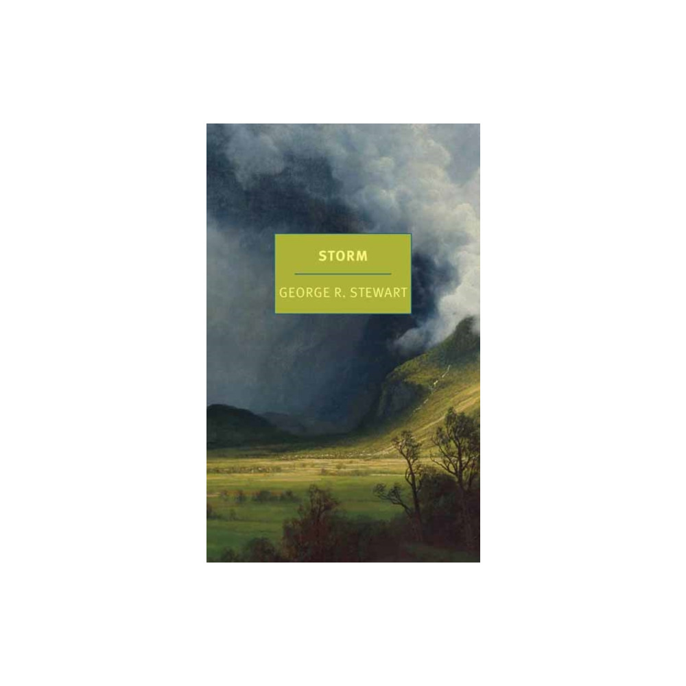 Produktbild för Storm (häftad, eng)