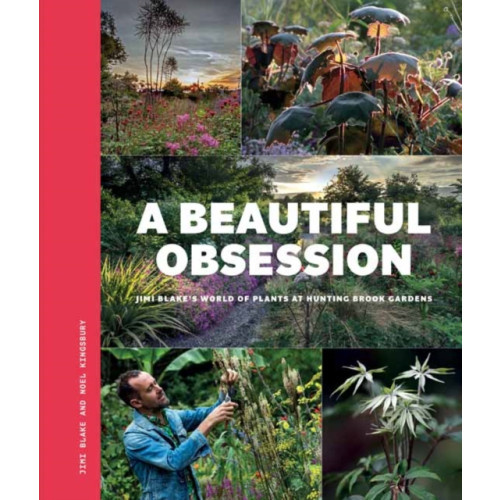 Filbert Press A Beautiful Obsession (häftad, eng)