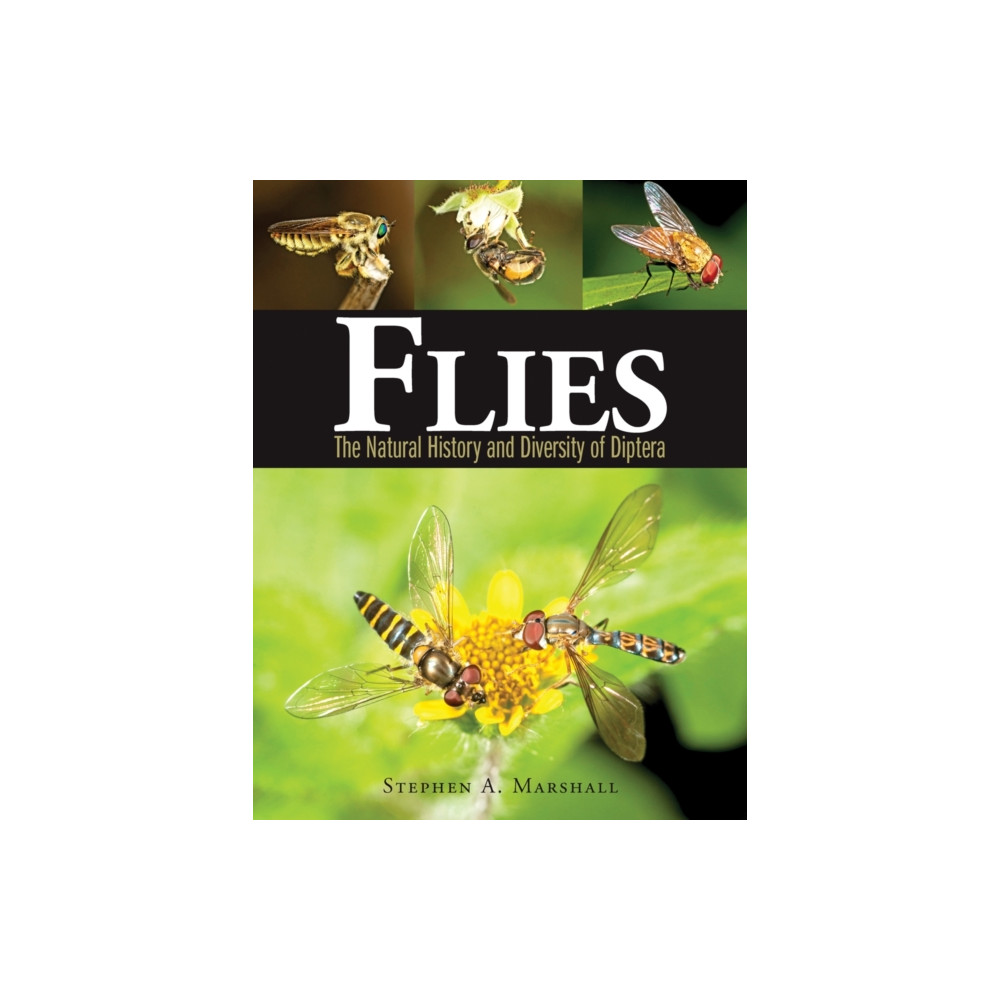 Produktbild för Flies (inbunden, eng)