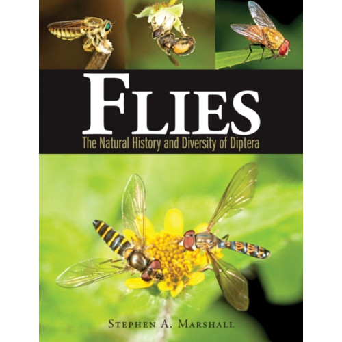 Firefly Books Ltd Flies (inbunden, eng)