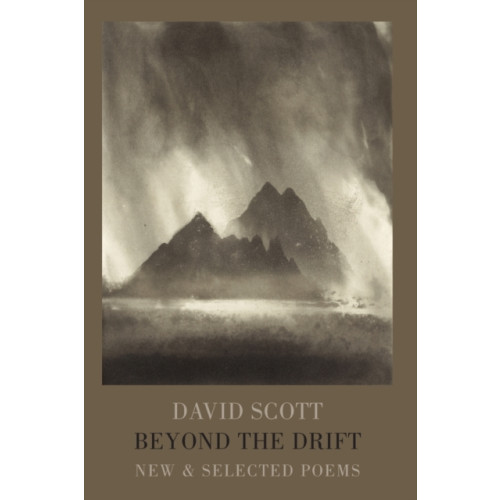 Bloodaxe Books Ltd Beyond the Drift (häftad, eng)