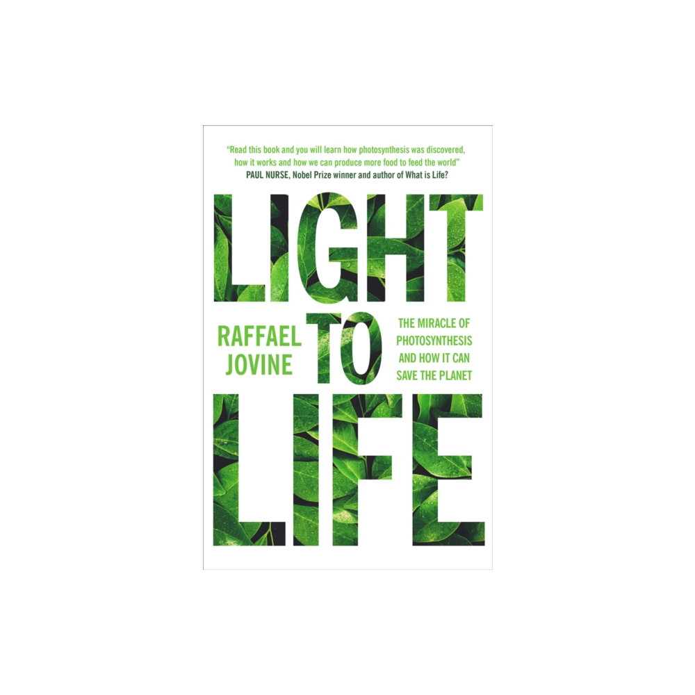 Produktbild för Light to Life (häftad, eng)