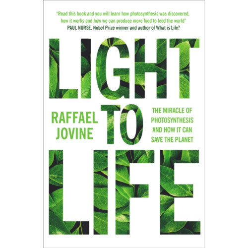 Octopus publishing group Light to Life (häftad, eng)