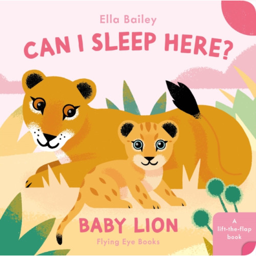 Flying Eye Books Can I Sleep Here Baby Lion (bok, board book, eng)