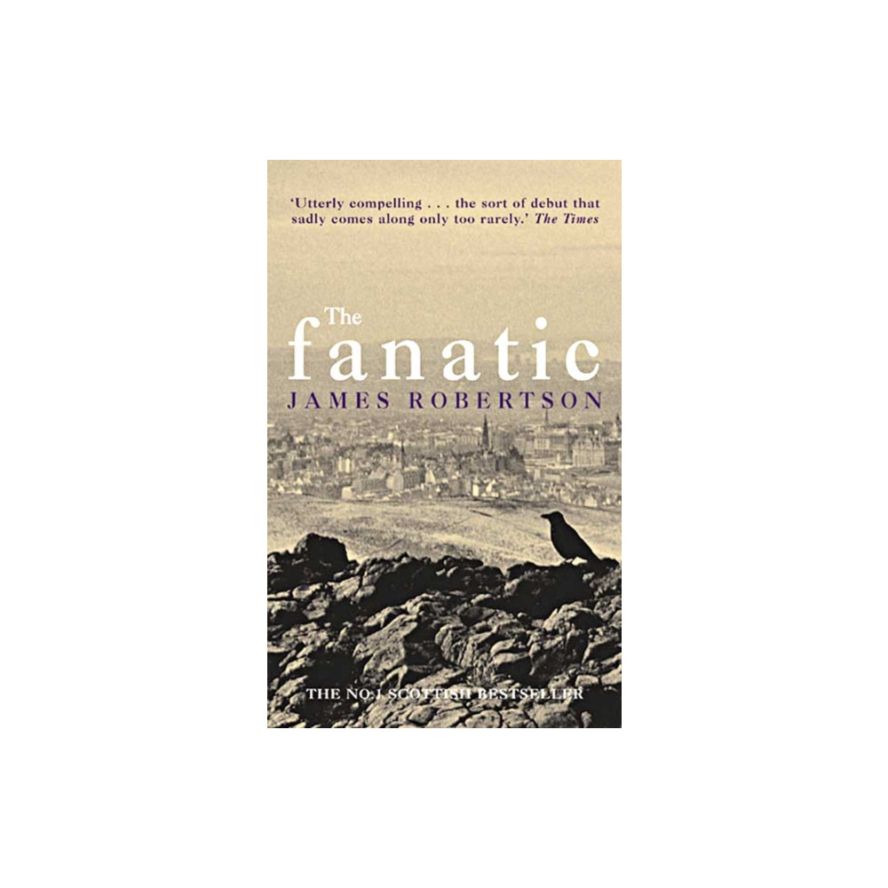 Produktbild för The Fanatic (häftad, eng)