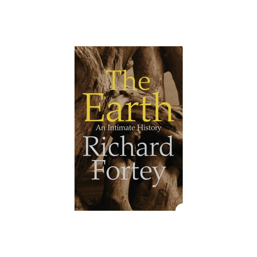 Produktbild för The Earth (häftad, eng)