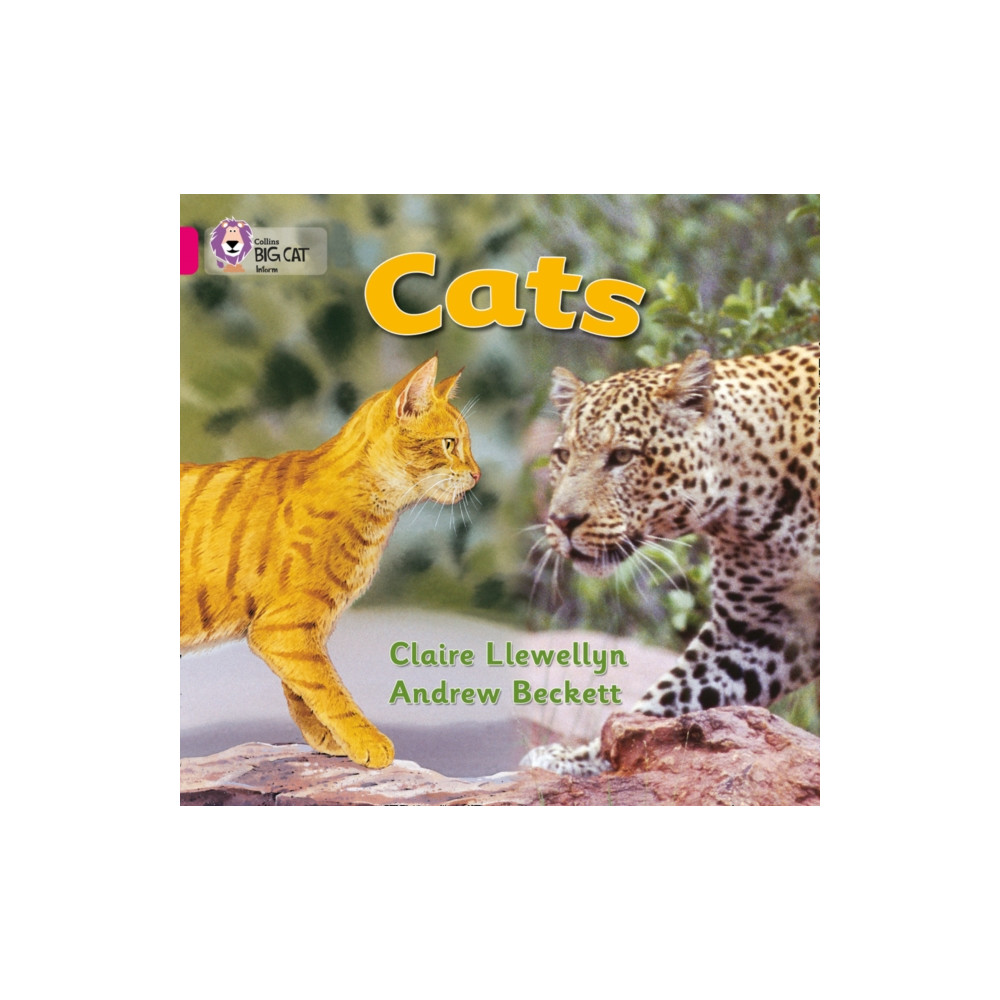 Produktbild för Cats (häftad, eng)