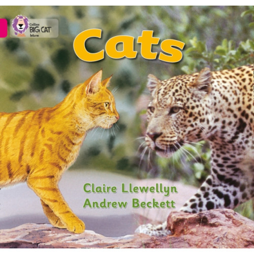 HarperCollins Publishers Cats (häftad, eng)