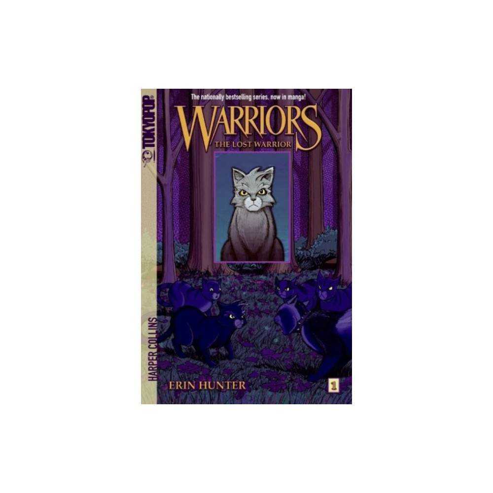 Produktbild för Warriors: The Lost Warrior (häftad, eng)