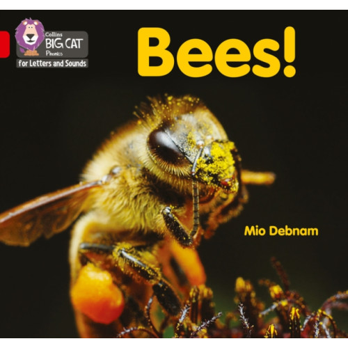 HarperCollins Publishers Bees! (häftad, eng)
