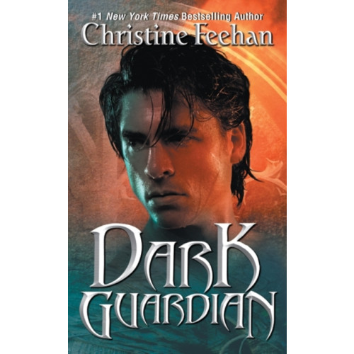 HarperCollins Dark Guardian (häftad, eng)