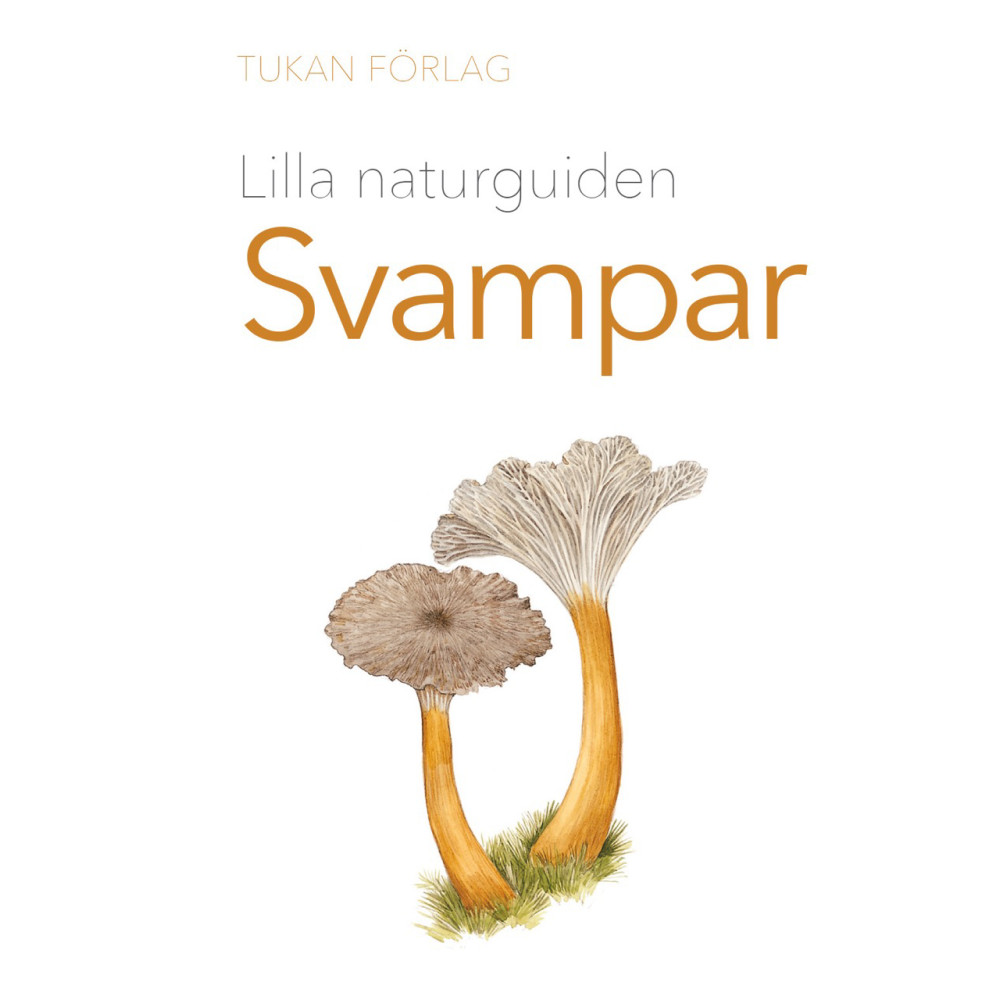 Produktbild för Lilla naturguiden : Svampar (häftad)