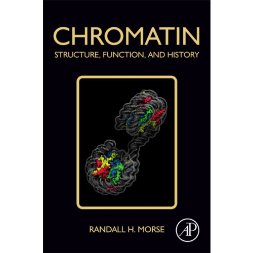 Elsevier Science Publishing Co Inc Chromatin (häftad, eng)