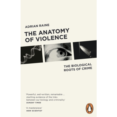 Penguin books ltd The Anatomy of Violence (häftad, eng)