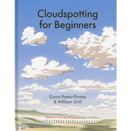 Penguin books ltd Cloudspotting For Beginners (inbunden, eng)