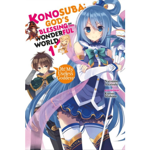 Little, Brown & Company Konosuba: God's Blessing on This Wonderful World!, Vol. 1 (Novel) (häftad, eng)
