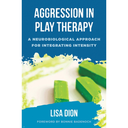 WW Norton & Co Aggression in Play Therapy (inbunden, eng)