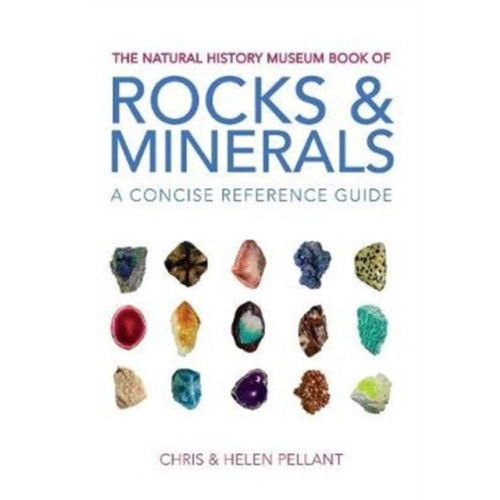 The Natural History Museum The Natural History Museum Book of Rocks & Minerals (häftad, eng)