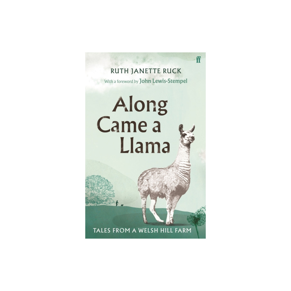 Produktbild för Along Came a Llama (inbunden, eng)