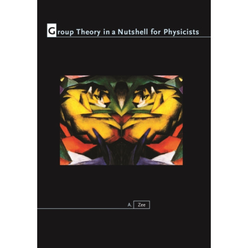 Princeton University Press Group Theory in a Nutshell for Physicists (inbunden, eng)