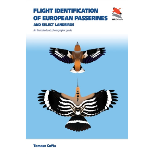 Princeton University Press Flight Identification of European Passerines and Select Landbirds (häftad, eng)