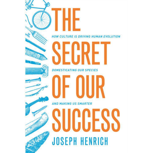 Princeton University Press The Secret of Our Success (häftad, eng)