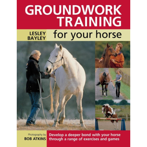 David & Charles Groundwork Training for Your Horse (häftad, eng)