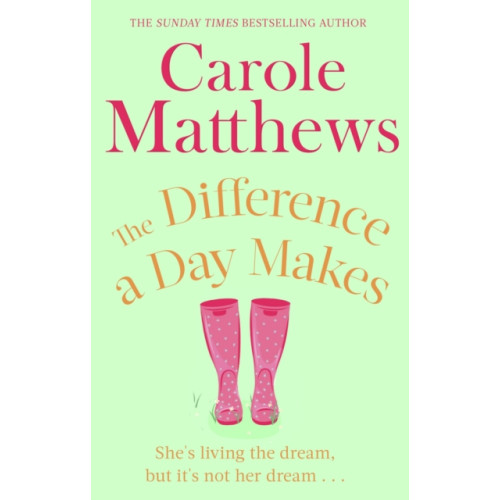 Little, Brown Book Group The Difference a Day Makes (häftad, eng)