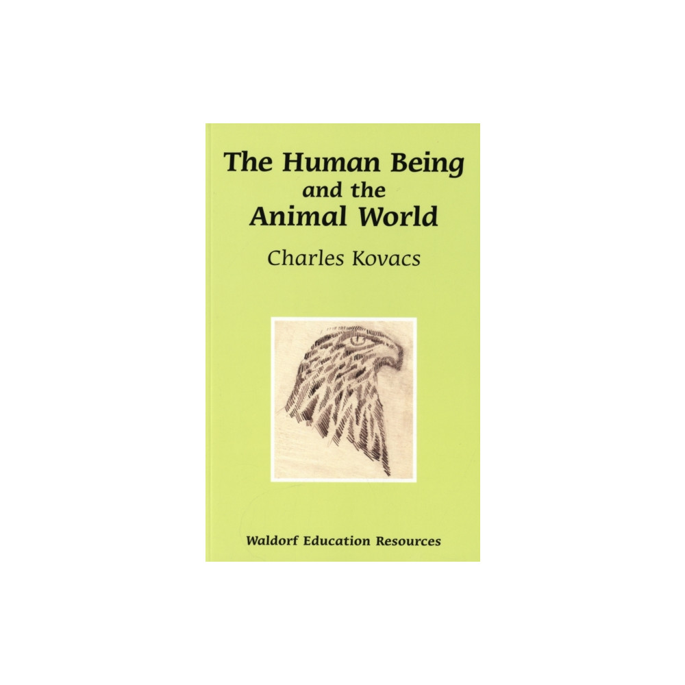 Produktbild för The Human Being and the Animal World (häftad, eng)