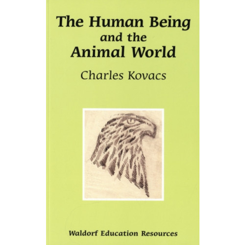 Floris Books The Human Being and the Animal World (häftad, eng)