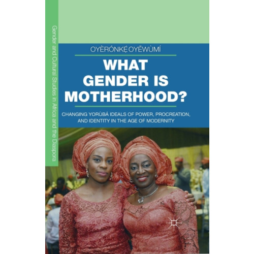 Palgrave macmillan What Gender is Motherhood? (häftad, eng)