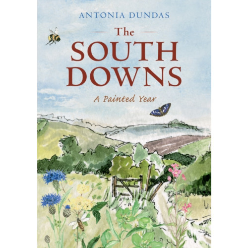 Amberley Publishing The South Downs (häftad, eng)