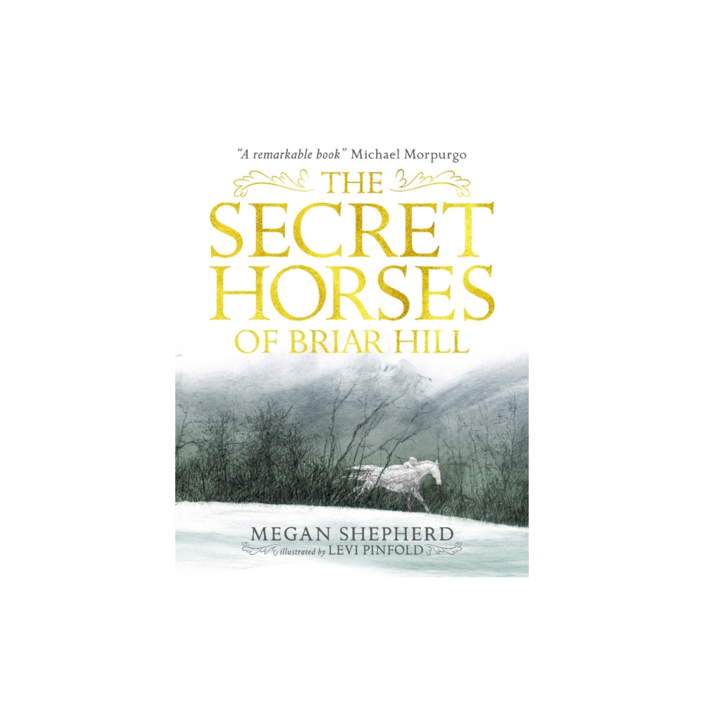 Produktbild för The Secret Horses of Briar Hill (häftad, eng)