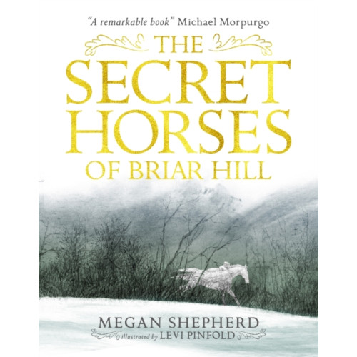 Walker Books Ltd The Secret Horses of Briar Hill (häftad, eng)