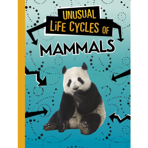 Capstone Global Library Ltd Unusual Life Cycles of Mammals (häftad, eng)