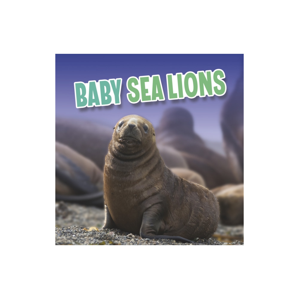 Produktbild för Baby Sea Lions (häftad, eng)