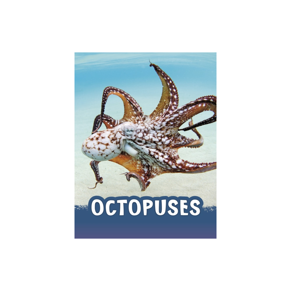 Produktbild för Octopuses (häftad, eng)