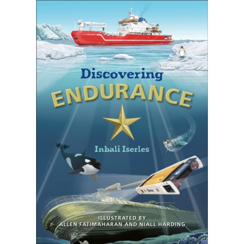 Hachette Learning Reading Planet KS2: Discovering Endurance - Earth/Grey (häftad, eng)
