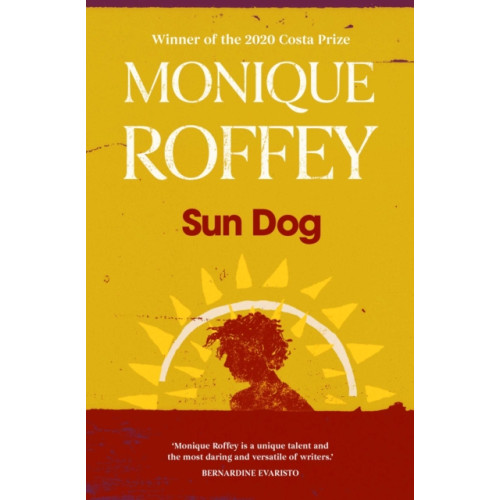 Simon & Schuster Ltd Sun Dog (häftad, eng)